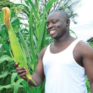 Agriculture Loan Agriculture Loan